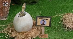 Bigg Boss 19 2nd October 2025